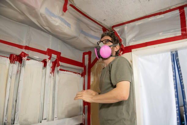 Best Mold Documentation for Insurance Claims  in Waimanalo, HI