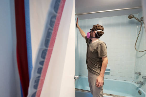Mold Remediation for Vacation Homes in Waimanalo, HI